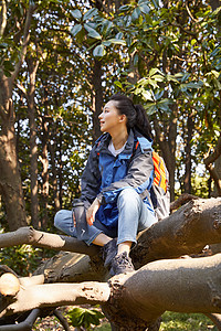 独自徒步的女生坐在树上休息喝水图片