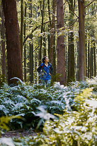 登山户外徒步女生独自穿越森林背景