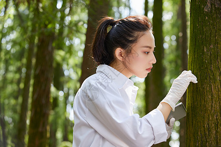 观察并记录植物的科学家图片