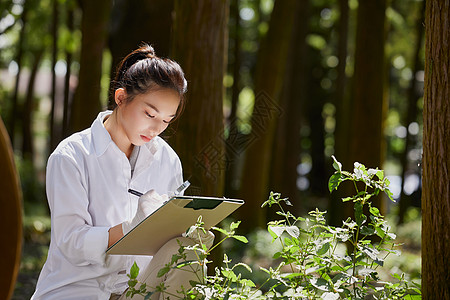 观察并记录植物的科学家图片