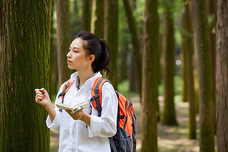 森林里记录植物的科学家高清图片