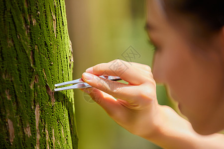 白天科学家在森林采样植物样本特写图片