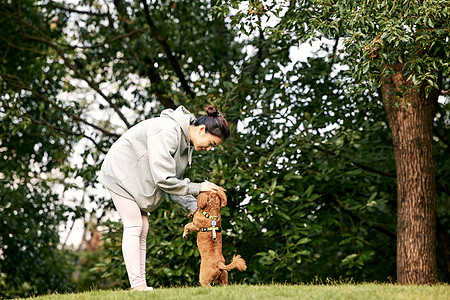 在公园跑步健身在公园里和泰迪一起玩耍的运动少女背景