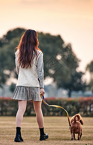 秋天的草地夕阳下牵着狗散步的少女背景