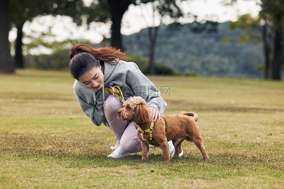 在公园里和泰迪一起玩耍的运动少女图片