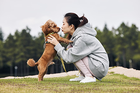 狗玩耍在公园里和泰迪一起玩耍的运动少女背景