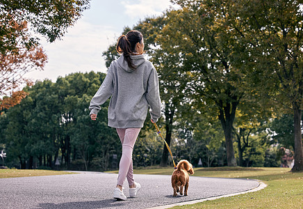 狗背影在公园里和泰迪一起散步的运动少女背景