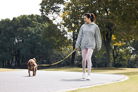 轮滑少女之遛狗在公园里和泰迪一起散步的运动少女背景