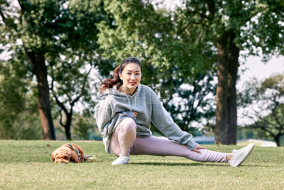 泰迪陪伴在做拉伸运动的女主人身边图片