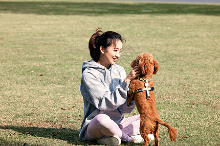 小狗在公园玩耍在公园里和泰迪一起玩耍的运动少女背景