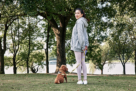 轮滑少女之遛狗在公园里和泰迪一起玩耍的运动少女背景
