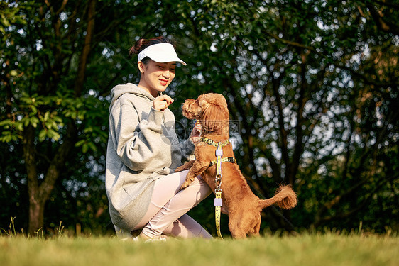 美女在草地上给小泰迪喂食图片