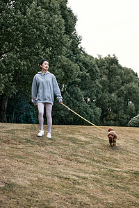 轮滑少女之遛狗在公园里和泰迪一起散步的运动少女背景