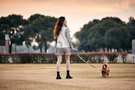 小清新美女夕阳下遛小泰迪背影图片