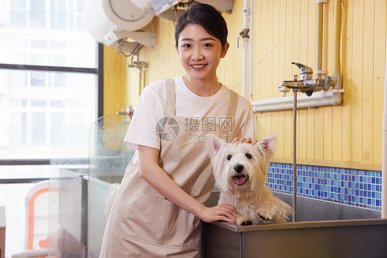 宠物店女性技师给宠物狗狗洗澡图片