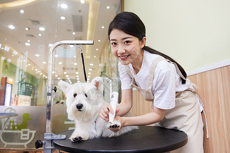 宠物店女性技师给宠物狗修剪指甲高清图片