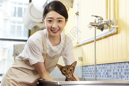 给生活加点野宠物店技师给宠物猫洗澡背景