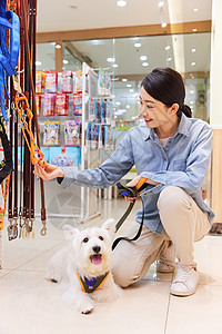 美女主人带宠物狗狗逛宠物店选购商品高清图片