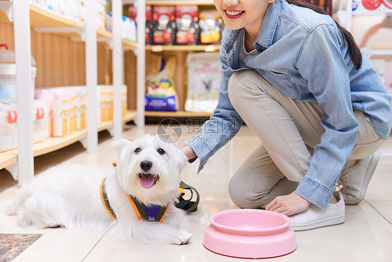 美女主人在宠物店给狗狗选购狗粮碗图片