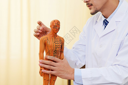 男中医研究人体穴位图片