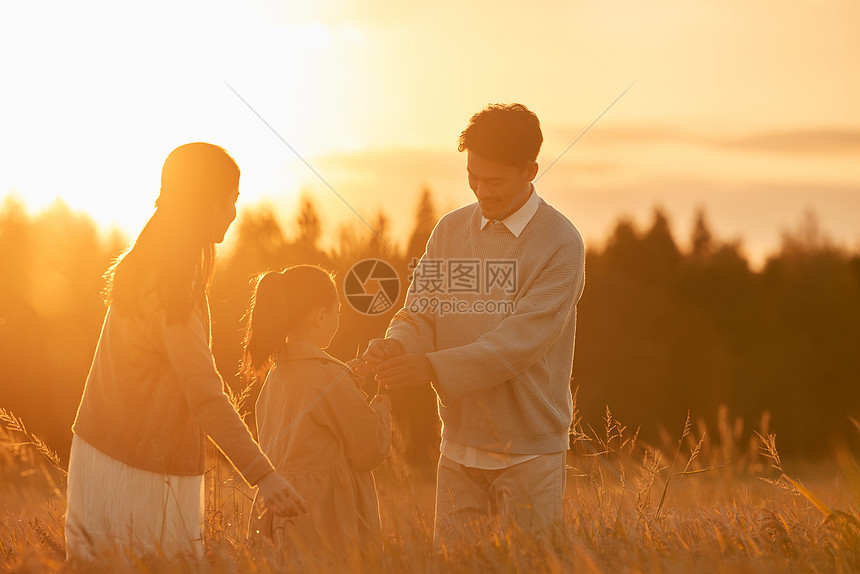 夕阳下走在稻田里的一家人图片