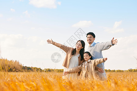 水墨稻田秋季郊游的快乐一家人形象背景