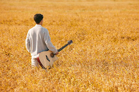 男性拿着吉他走在稻田里的背影图片素材
