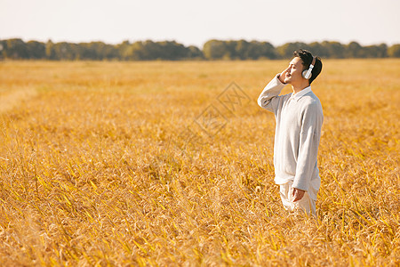 戴着耳机走在稻田里的男性形象图片