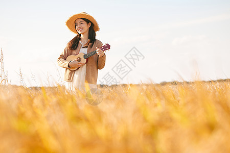 在稻田里弹奏尤克里里的女性图片