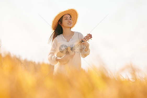 在稻田里弹奏尤克里里的女性图片