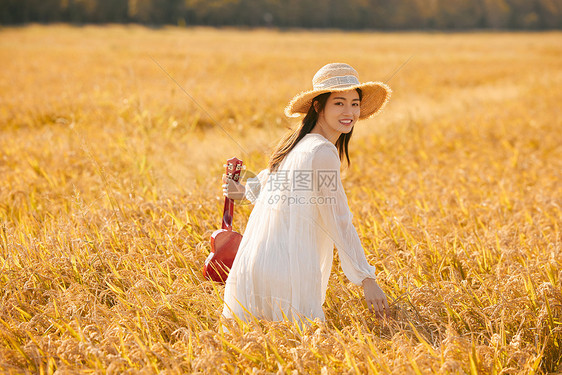 在稻田里弹奏尤克里里的女性图片
