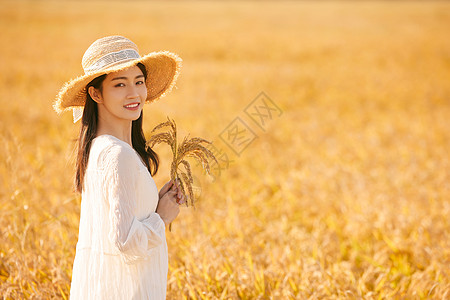 穿着连衣裙走在稻田里的少女背景