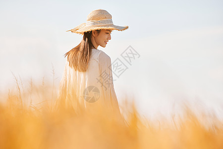 成熟水稻穿着连衣裙走在稻田里的少女背景