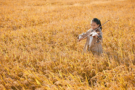 在稻田里演奏小提琴的小女孩图片