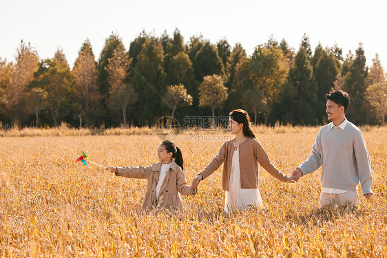 一家人拉着手走在稻田里图片
