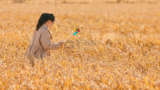 手拿风车在田野里玩耍的小女孩图片