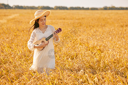 在稻田里弹奏尤克里里的美女背景图片