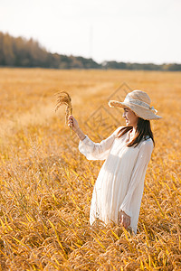 女性穿着连衣裙走在稻田里图片