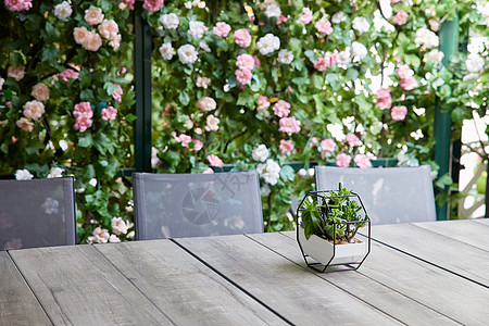 玫瑰花桃心装饰玫瑰花墙前的餐桌背景