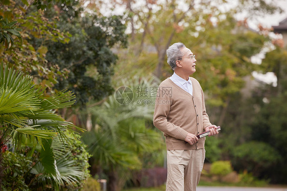 老年人小区散步欣赏花草图片