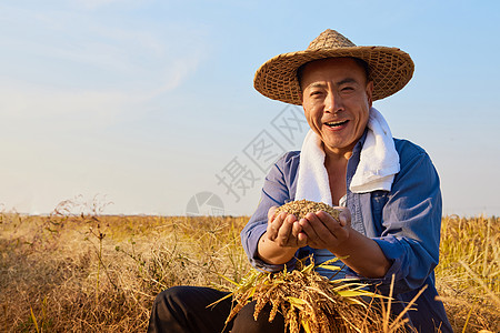 乡村人秋天农民丰收手捧稻谷背景