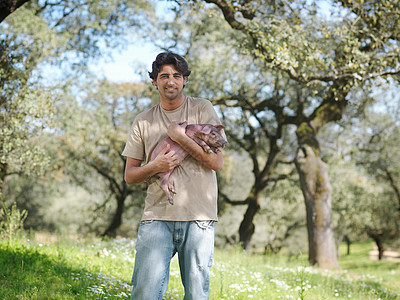 抱猪男人在农场田里抱着小猪背景