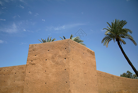 旧城墙和棕榈树图片