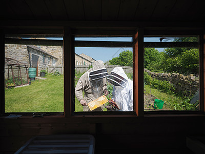 养蜂人检查花园中的蜂窝图片