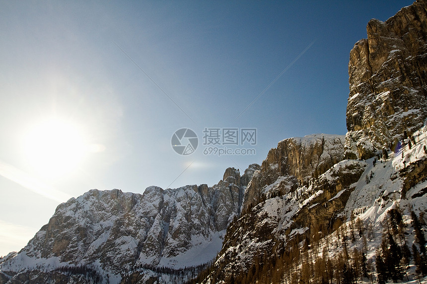 雪山地的树木图片