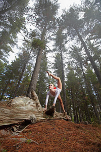 表演者在树干上舞蹈图片