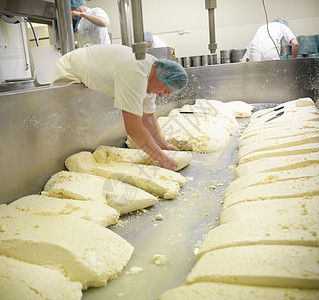 工人在奶酪制造厂工作图片