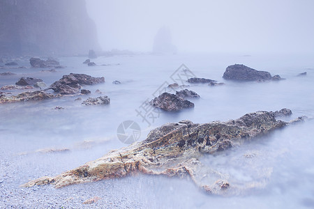 大雾笼罩着岩石海滩图片