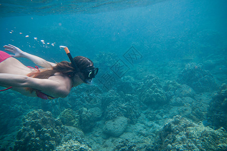 在海底潜水的女性图片