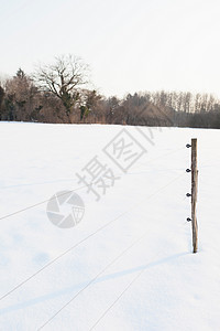 雪地上的栏杆图片